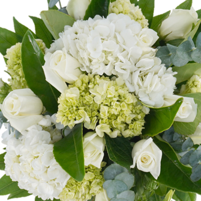 Heb Roses H-E-B Blooms Event Collection