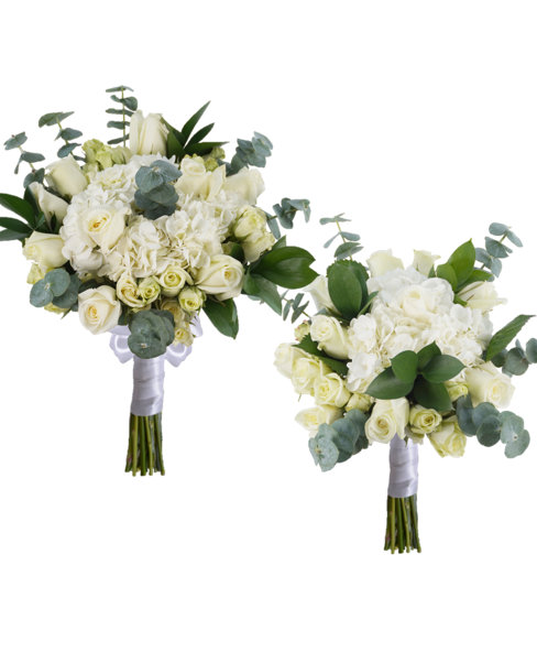 CLASSIC-BRIDAL/BRIDESMAID COMBO