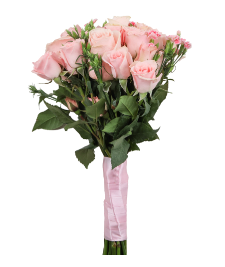 LIGHT PINK