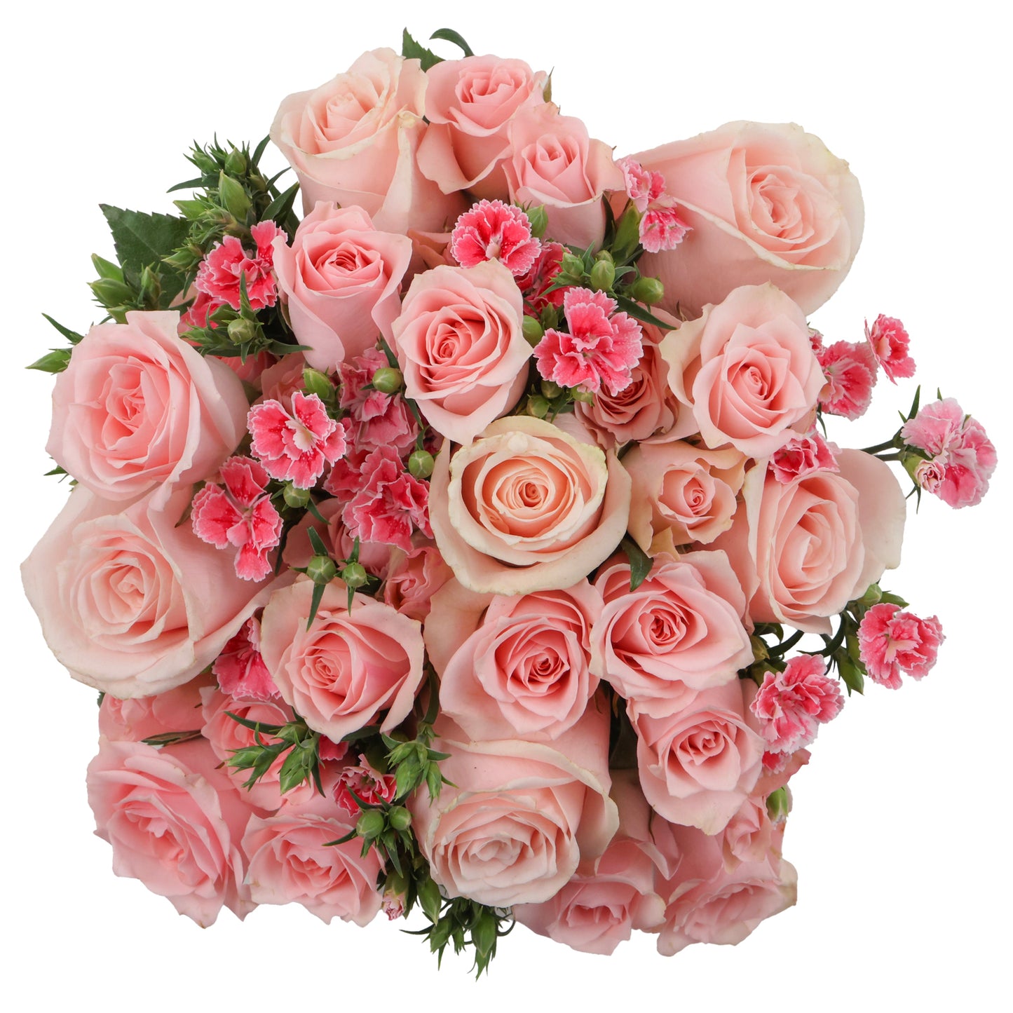LIGHT PINK