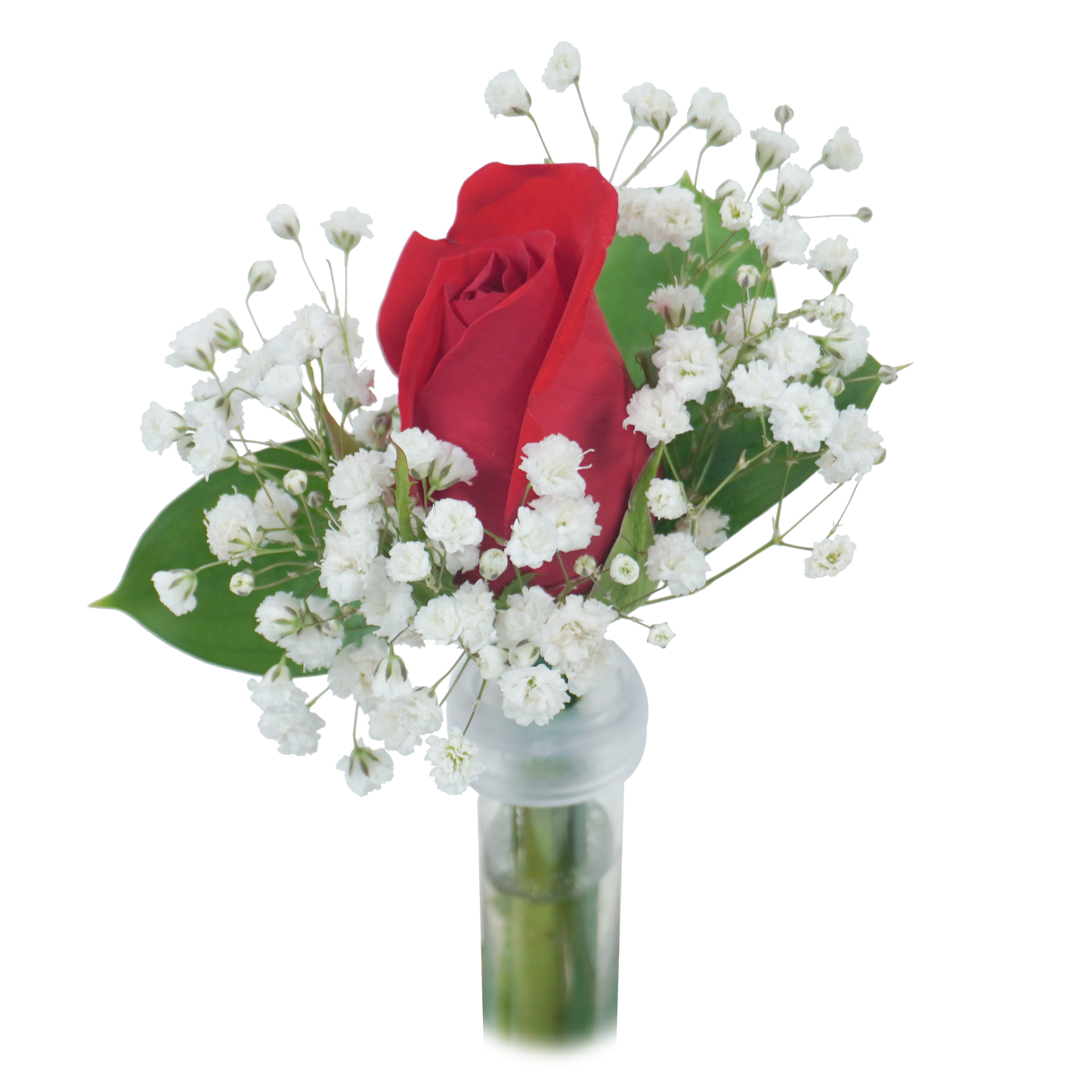 BOUTONNIERE - RED