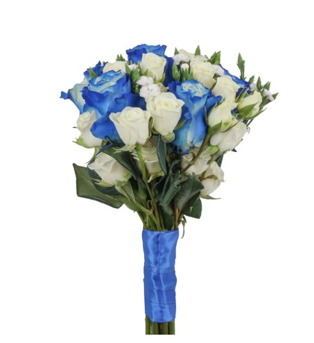 ROYAL BLUE