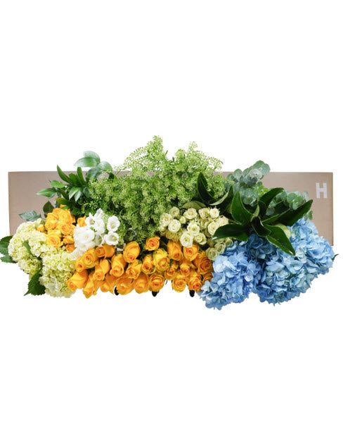 YOU ARE MY SUNSHINE-DIY STEMS