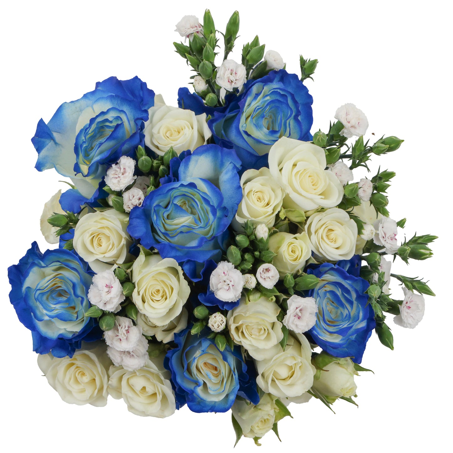 ROYAL BLUE